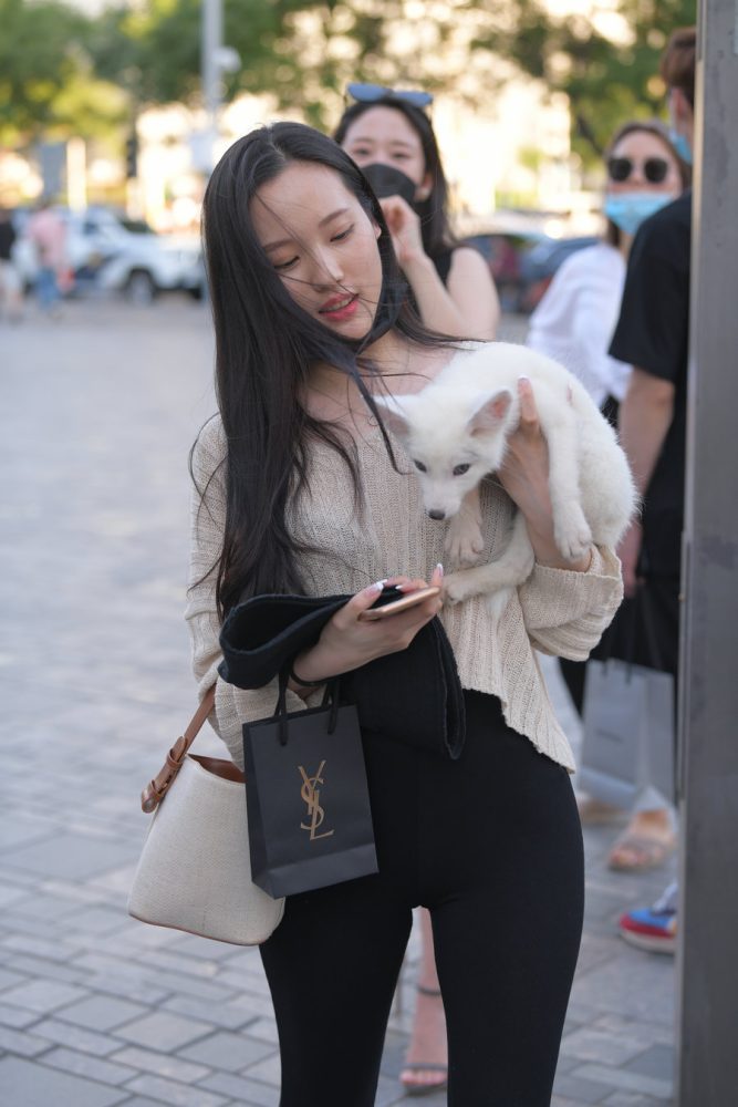 抱着小狗的漂亮女孩 J2106 136P-3.25GB-妹妹图库